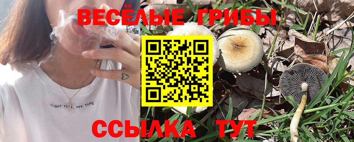 Соль-Илецк  Галлюциногенные грибы Magic Shrooms  Псилоцибиновые грибы ЛСД  Вход с VPN 